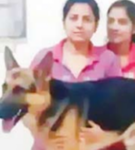 आजारी कुत्र्यामुळे दाेन बहिणींनी जीवन संपवल